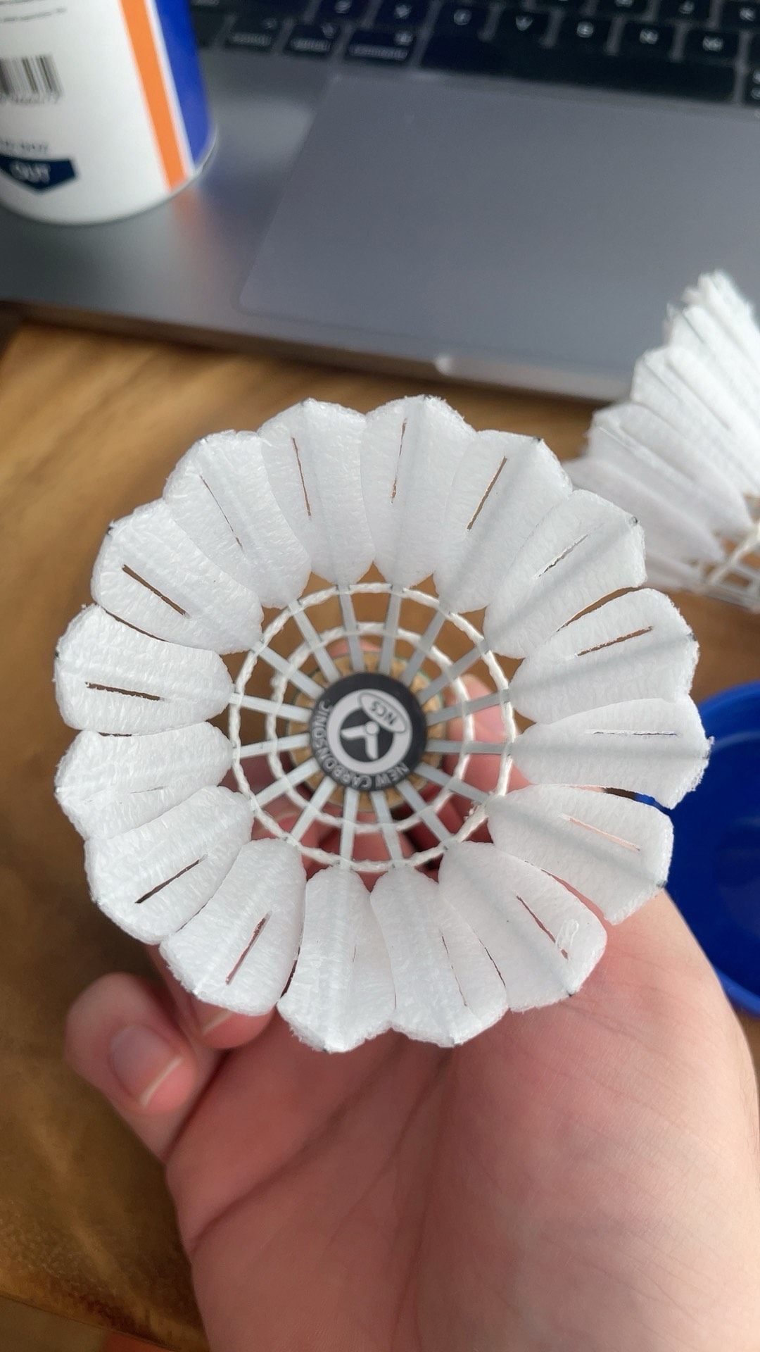 对阵意大利 对阵意大利